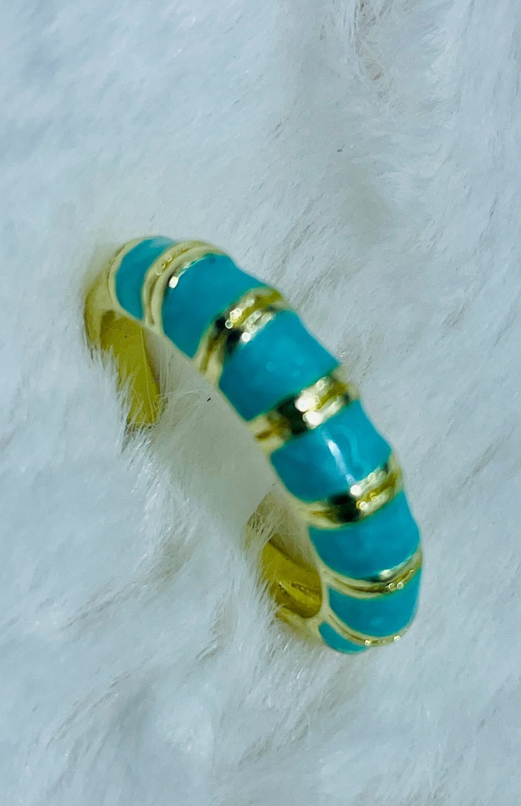 FR-0036