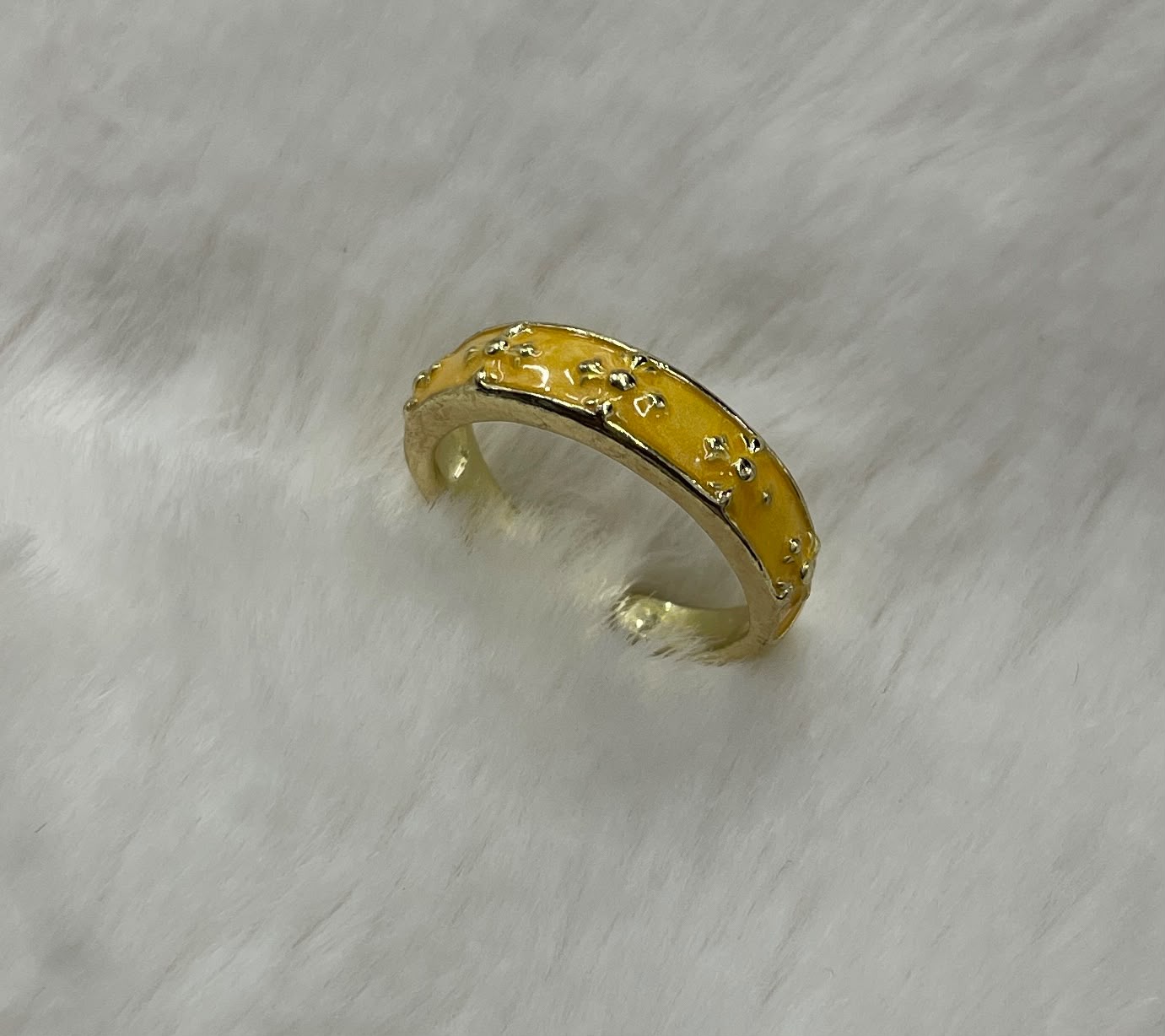 FR-0097